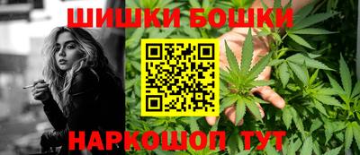 круглые Кингисепп
