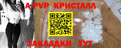 круглые Кингисепп