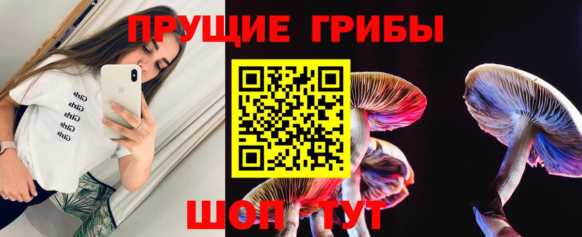 Псилоцибиновые грибы мицелий Красноармейск